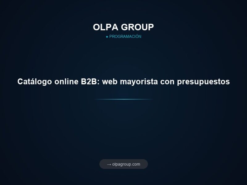 Catálogo online B2B: web mayorista con presupuestos