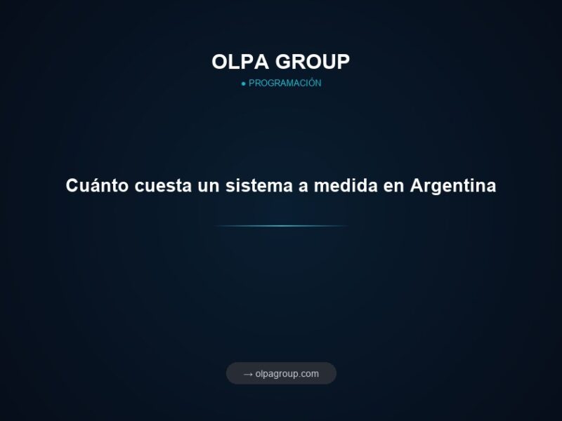 Cuánto cuesta un sistema a medida en Argentina